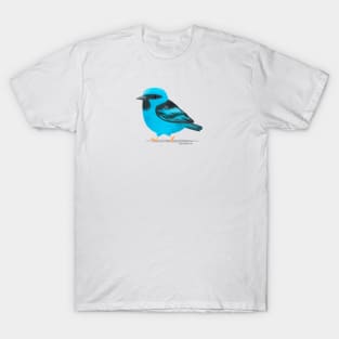 Blue Dacnis Bird T-Shirt